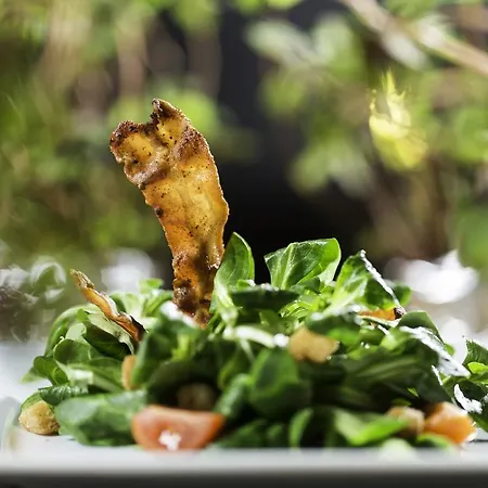 Hoeger's & Restaurant Hotel 4*